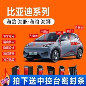 BYD 25 model üçün qapı aralığı, səs izolyasiyası, mərkəzi idarəetmə möhürləmə zolağı