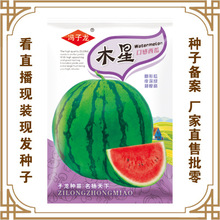 TNISֱ۴ش¶زˈ@Nֲ߲˷N ľ