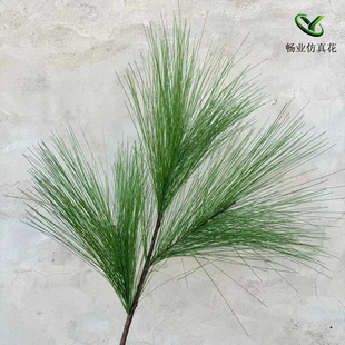 ���l��cɭϵ���Ĳ廨�b�·������������Gֲ�Gɫ�~�ӾGɫ�Rβ��