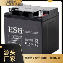 ESG��늳�6GFM24 12V24AH/10HR�ߵ͉���늙� ֱ���� EPS�Դ