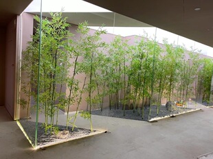 ��������ɽˮ���쾰���^�҃��b�֧С���~�b����Ӹ����쾰