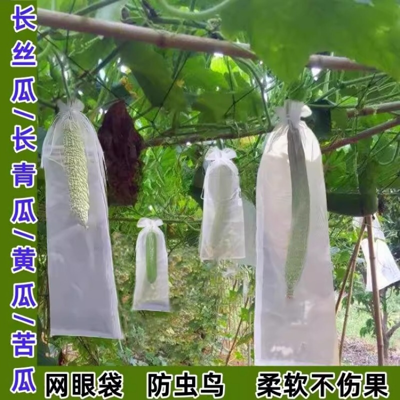 Non-Woven Fabric Bitter Melon Bagging Material, Loofah, Cucumber, Green Melon, Honeydew Insect-Proof Protective Bags, Anti-Bee and Fruit Fly Breathable Bags Non-Woven Fabric Bitter Melon Bagging Material, Loofah, Cucumber, Green Melon, Honeydew Insect-Proof Protective Bags, Anti-Bee and Fruit Fly Breathable Bags