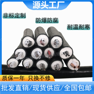 Changpu wholesale double core heat tracing Pipe cems environmental protection sampling pipeline φ8φ6 cable heat tracing Pipe 40W single core