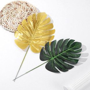 ���������~ �羳؛Դ�Gֲ���lֲ�������~�Ҿ��b���������