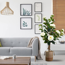 ��Ϫ �羳���R�d�������Gֲ����ɽ�軨�ز��ͥԺ���@�b�Ʒ�[