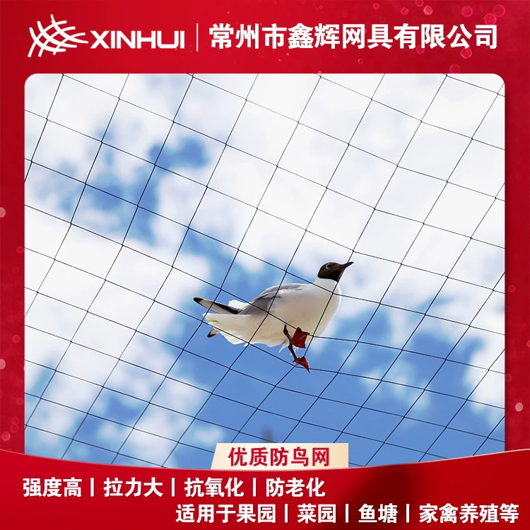 Трансграничная электронная коммерция сад чистая анти-птица чистая хорошая прочность источник производитель анти-птица чистая
