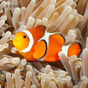 �~�^�p�~С��ӡ��ѩС���~��ĪС���~�����˹�����ںں�ˮ��̫��