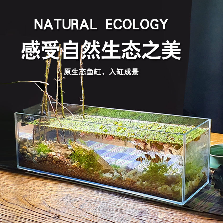 超白鱼缸矮低浅窄款缸桌面乌龟缸苔藓缸六角恐龙缸水培植物展示缸