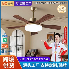 风扇灯;吸顶灯;智能家居