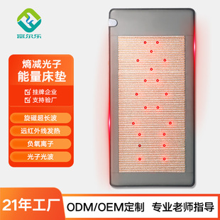 Beauty Salon-Style Mattress Photon Therapy Energy Bed Home Health Care Far-Infrared Mat Negative Oxygen Ion Photon Bed