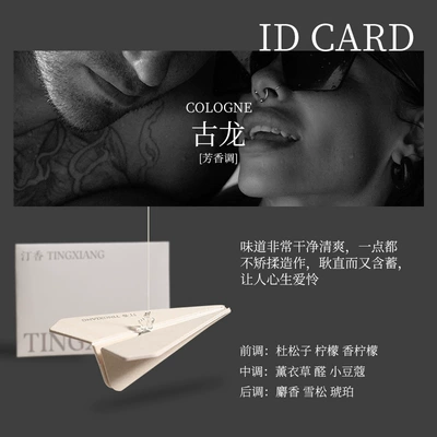 Car hanging Car Pendant Air Vent Fragrance - cologne-paper-airplane