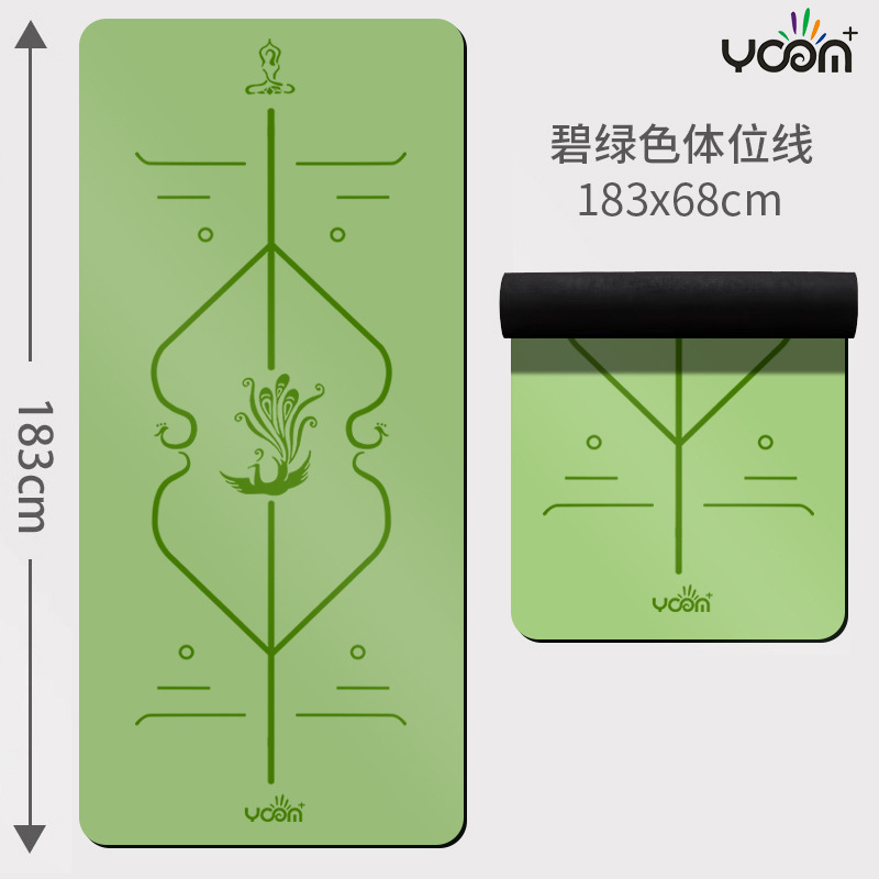 자세라인-청록색