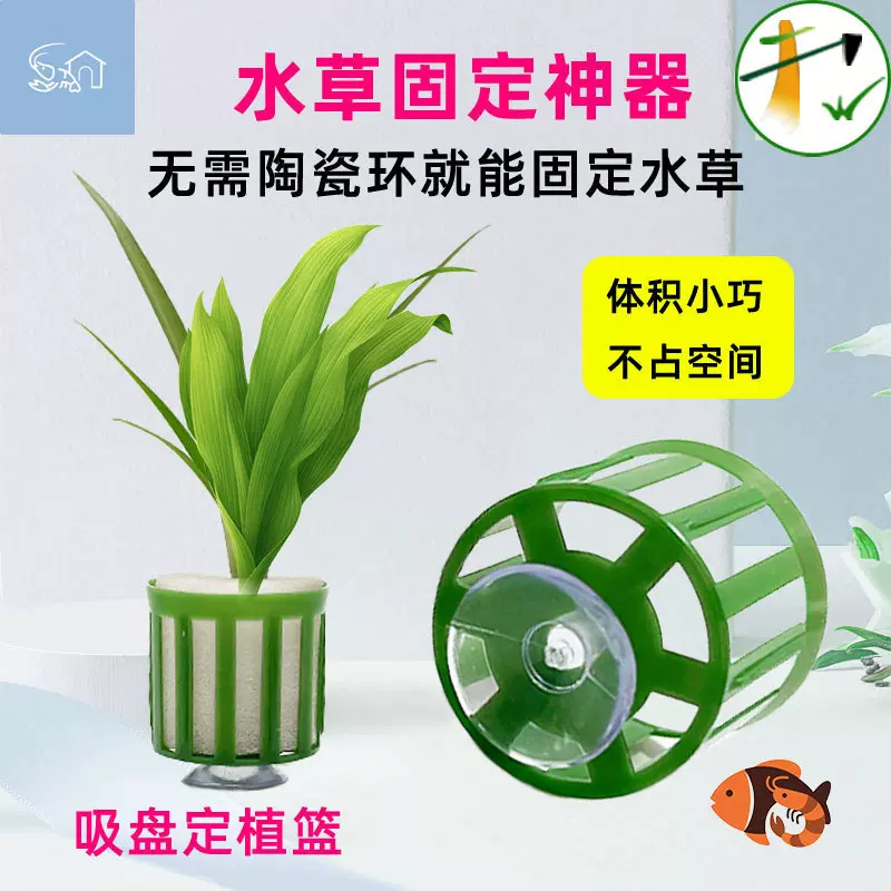 水草固定环吸盘定植篮三件套水草定植绵大号定植篮鱼缸造景养草杯