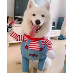 宠物狗狗衣服网红搞笑装博美比熊金毛猫咪搞怪装举刀柯基恶搞拿刀