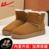 Brown W0598