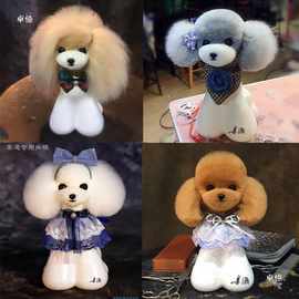 宠物美容练习毛日式假狗姜灏先生美容师宠物美容练习毛泰迪模特狗