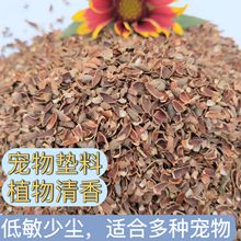 侧柏壳 柏籽壳 坐垫枕头等的填充物 产地直销 柏子壳量大从优