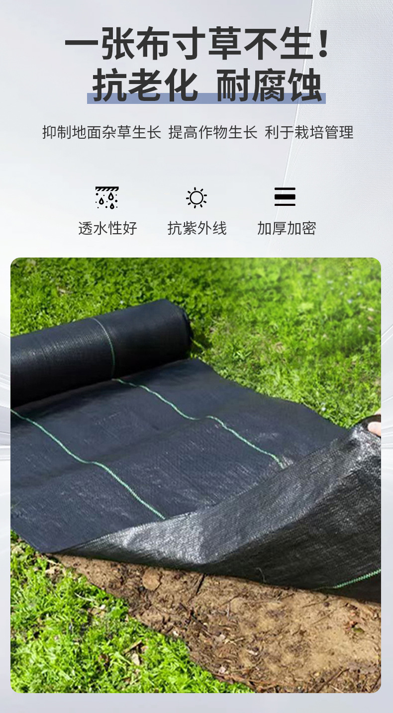 未标题-1_07.jpg