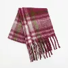 Plum color