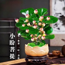 СԎkʽUϘ辰҃ȿ͏dBGֲ