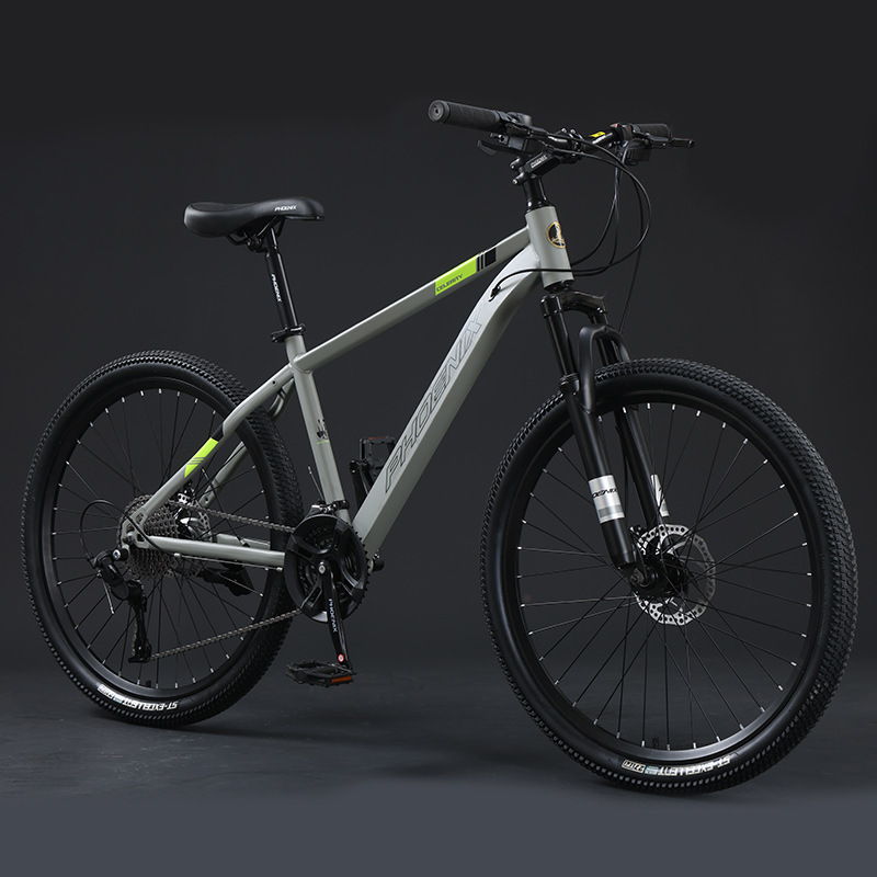 Steel Frame Spoke Wheel-Light Gray-24 Inch-24 Speed