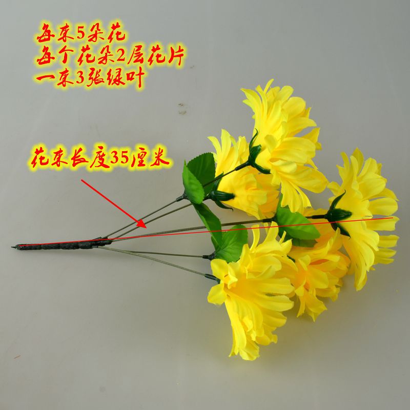 5头大丽菊3.jpg