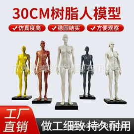 教学演示用品;学校课桌椅;医药教学器材