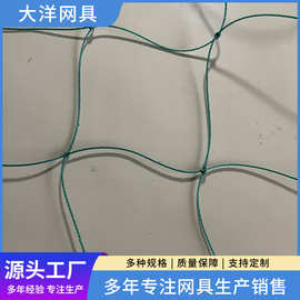 园艺大棚蔬菜爬藤网 屋顶绳防坠网爬藤网 pe聚乙烯护栏编织爬藤网