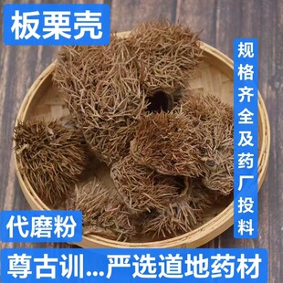 ��ș�� ������ ����Ƥ ��ë�� ����Ƥ �L����  ֧��ș�z ��ĥ��