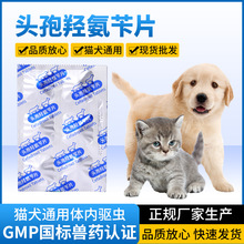 獸用獸葯頭孢羥氨苄片 貓咪狗寵物通用尿路呼吸道感染片劑葯品