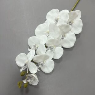 ?�����m���Wʽ9�^�����m��Y�������û��к����m��