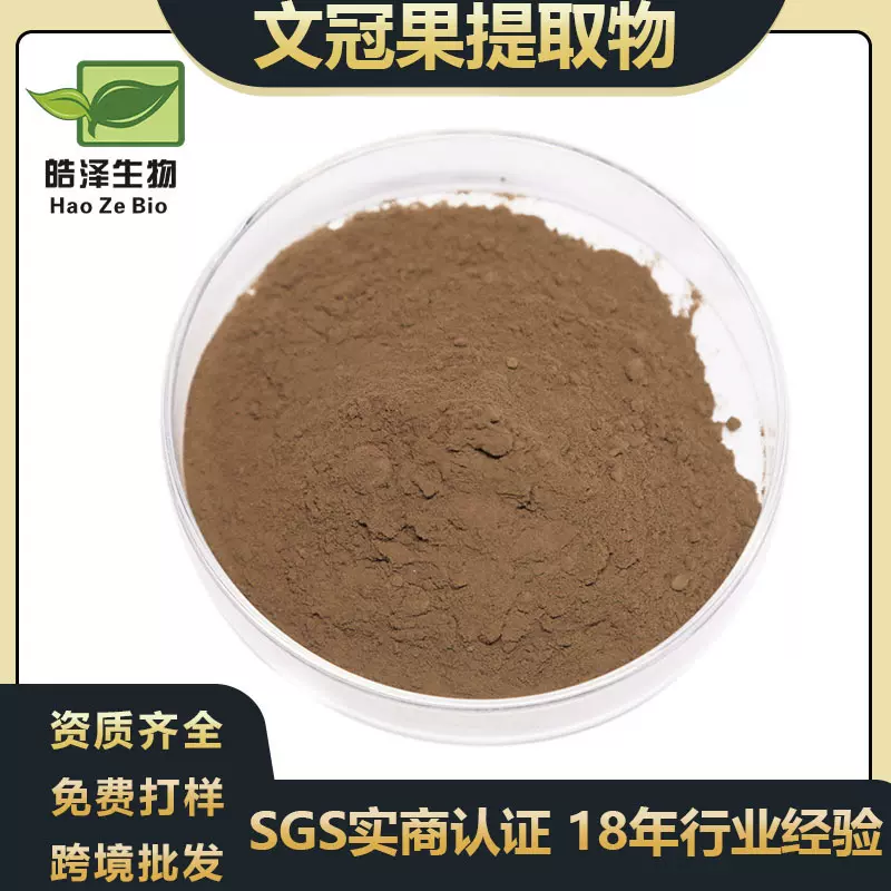 文冠果提取物20:1水溶文冠果粉文光果/文冠花/文冠木提取皓泽生物