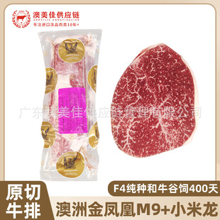 ���޽��P�˼��N��ţС����203�Sԭ��ţ���S�ϗl��偿���ѩ��ţ��