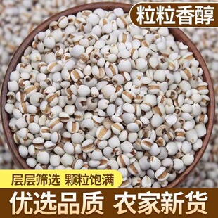 ޲������ș��޲����޲��С޲������؛޲�����ؼ���Ʒ�r���ݲ�