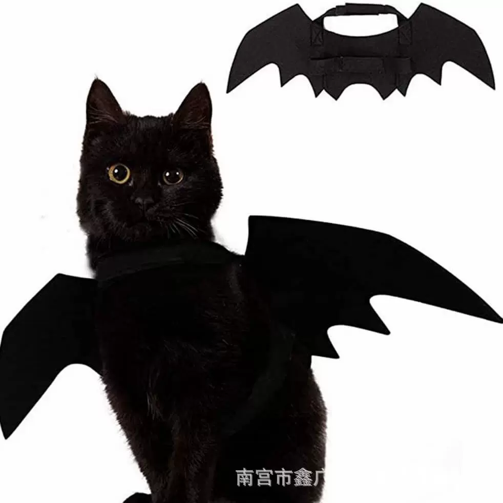 亚马逊黑色毛毡宠物翅膀猫咪搞怪道具万圣节蝙蝠翼服装适用于猫狗
