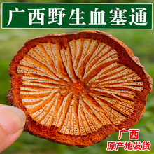 ҰɽѪ��ͨ�t���XѪͨ���ϴ�Ѫ��ѪͨƬ�����ϵ�����ܺ��؛��
