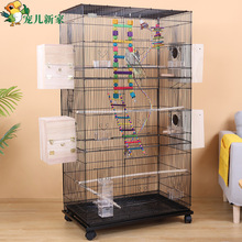 �����W�^�\�� ���� �B�\�Ӵ�̖�䌦�\���ӻ�Ƥĵ�����P�W�^��ֳ�\