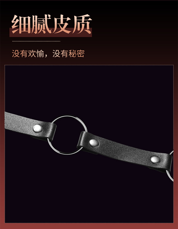 SM Anal Hook with Collar and Back Traction, Leather and Stainless Steel Adult Couples Toy — detail image 9