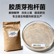 �z�|ѿ�ߗU�����׽���������50-100�|�z����ѿ�ߗU��