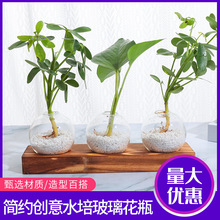 小清新水培玻璃花瓶水养绿植插花容器家庭园艺台面摆放木艺摆件