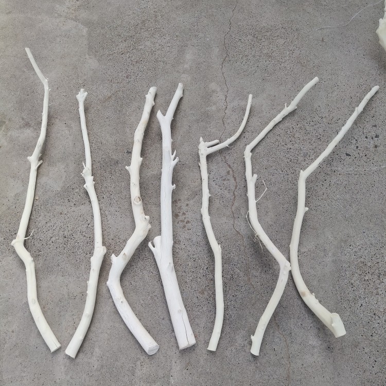 。Arquivos de flores de ramas secas de madera tronco artístico ramas secas maderas secas de madera secas descorpeadas modelado percha de pared paquete de tronco