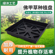 ��ײݷNֲ����픾G���Nֲ�۷��������M��ʽģ�K���Ƥ���̷Nֲ��