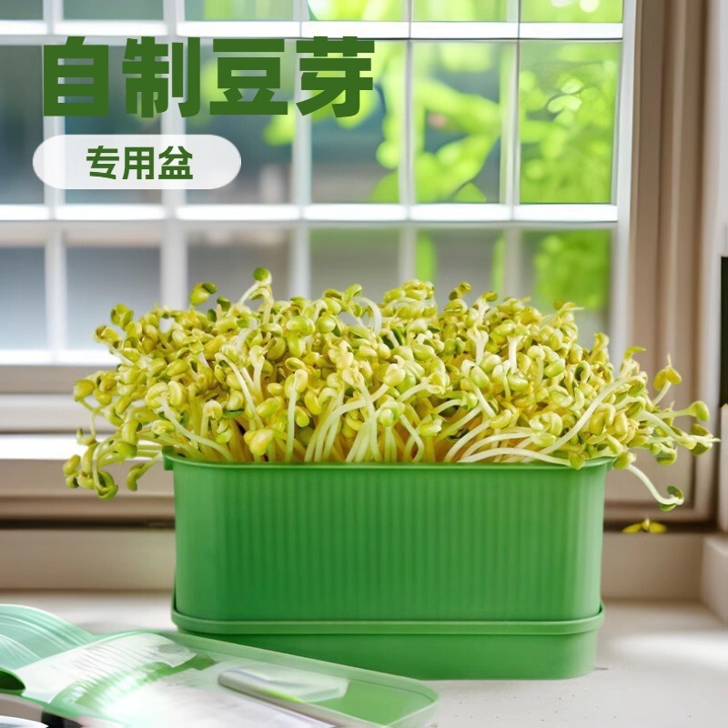 豆芽发芽盆洗菜罐家用生豆芽健康发豆芽桶黄豆绿豆发豆芽盒育苗盆|undefined