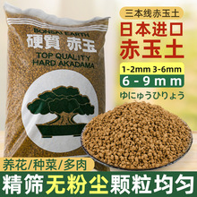 正品三本线赤玉土日本进口多肉盆景专用植物爬宠铺面石颗粒营养土