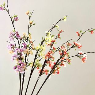 ���溣�Ļ� ����ָ�ѻ���c�Ҿ��b��쾰�� ���滨��c���û����l