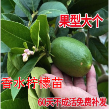 �ļ���ˮ���ʘ���޽ӹ���V�|̨���o�џo�˾W�t��������������