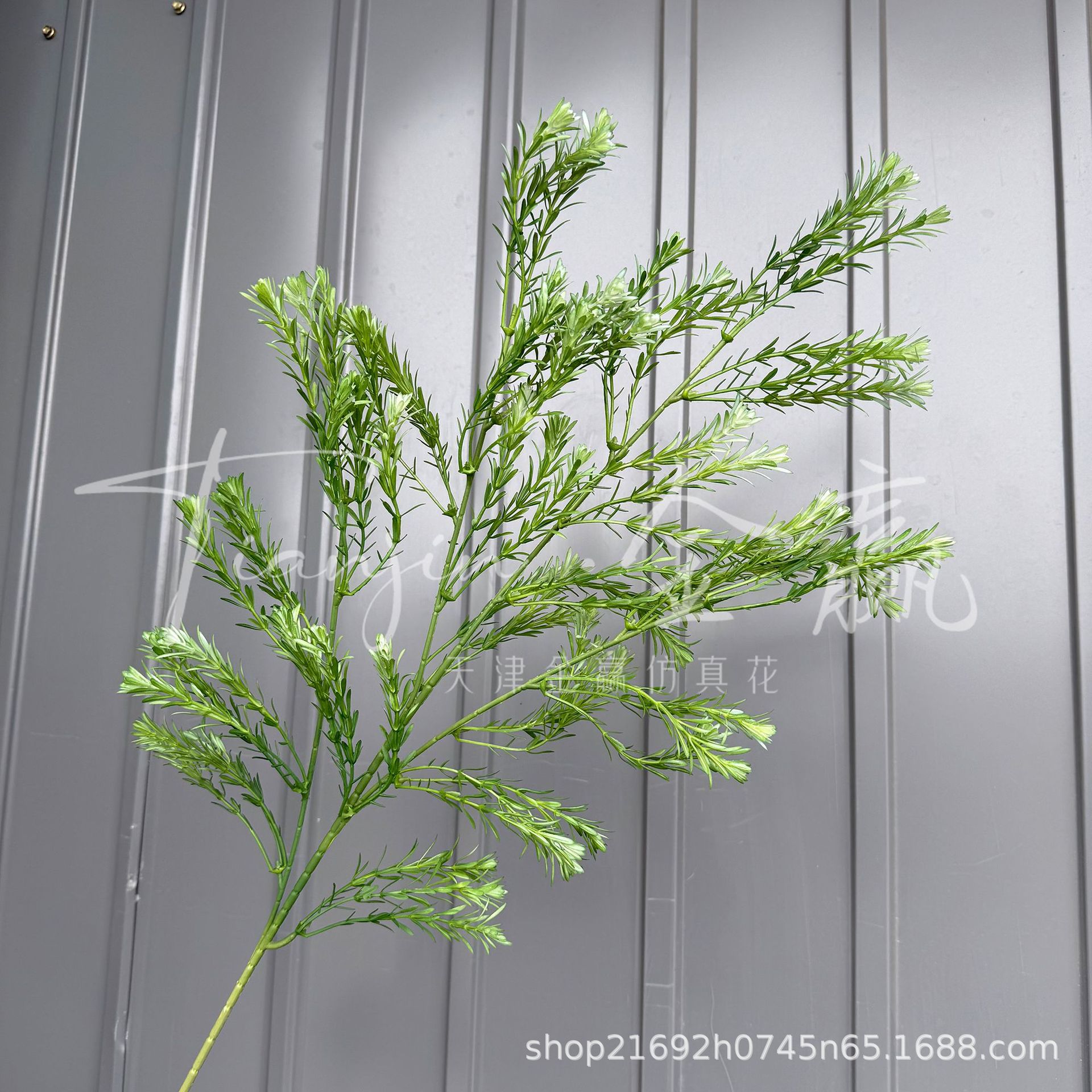 Boda Mori Simulación de flores y plantas verdes Pico de bambú Hierba Simulación de plantas verdes de invierno espárragos Plantas de simulación Escenografía de plantas verdes falsas