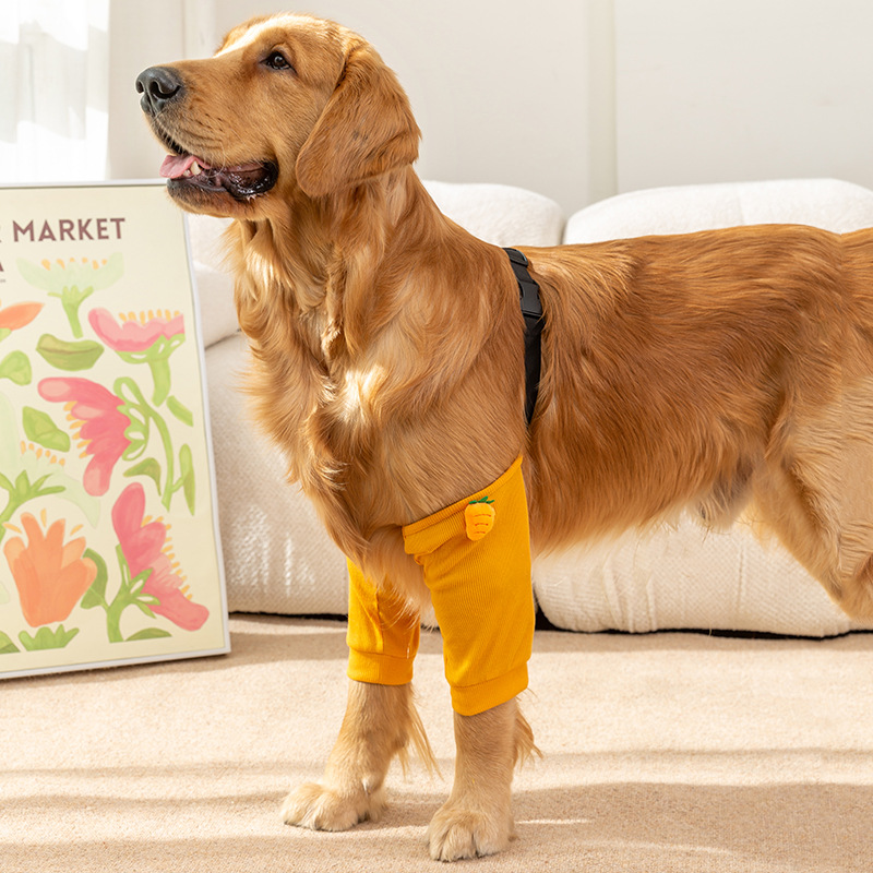 Perro grande divertido costilla leggings ropa mediano y grande perro golden retriever rodilla protección de la rodilla mascota Samoyedo ropa cubierta de la pierna