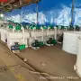 真空水循环成套喷射真空泵