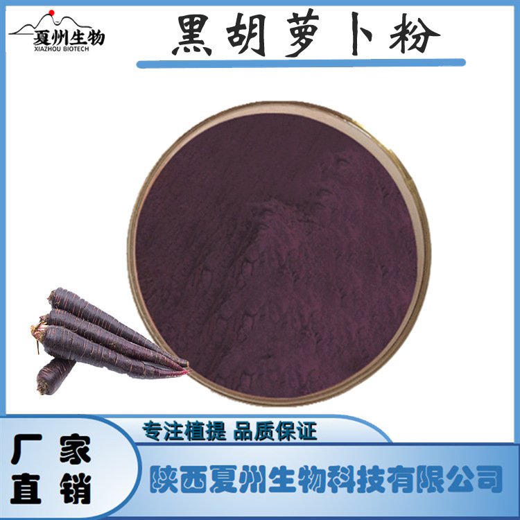 黑胡萝卜粉 黑胡萝卜汁粉 果蔬粉 黑胡萝卜提取物 蔬菜粉  kg级